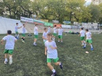 Футбол 